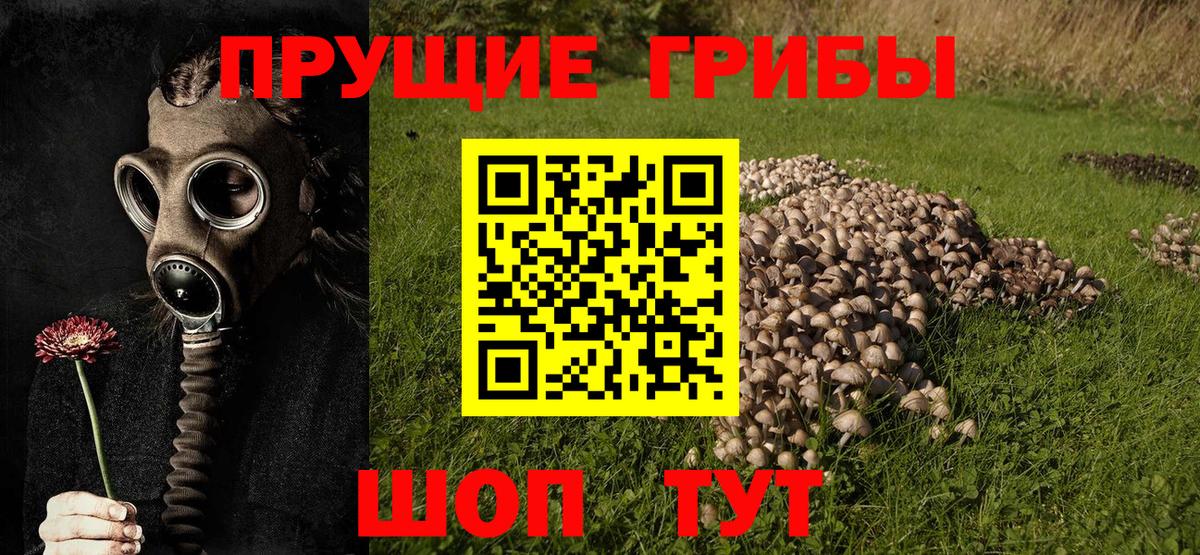 Галлюциногенные грибы Magic Shrooms  Галлюциногенные грибы прущие грибы  Валуйки  Вход с VPN 